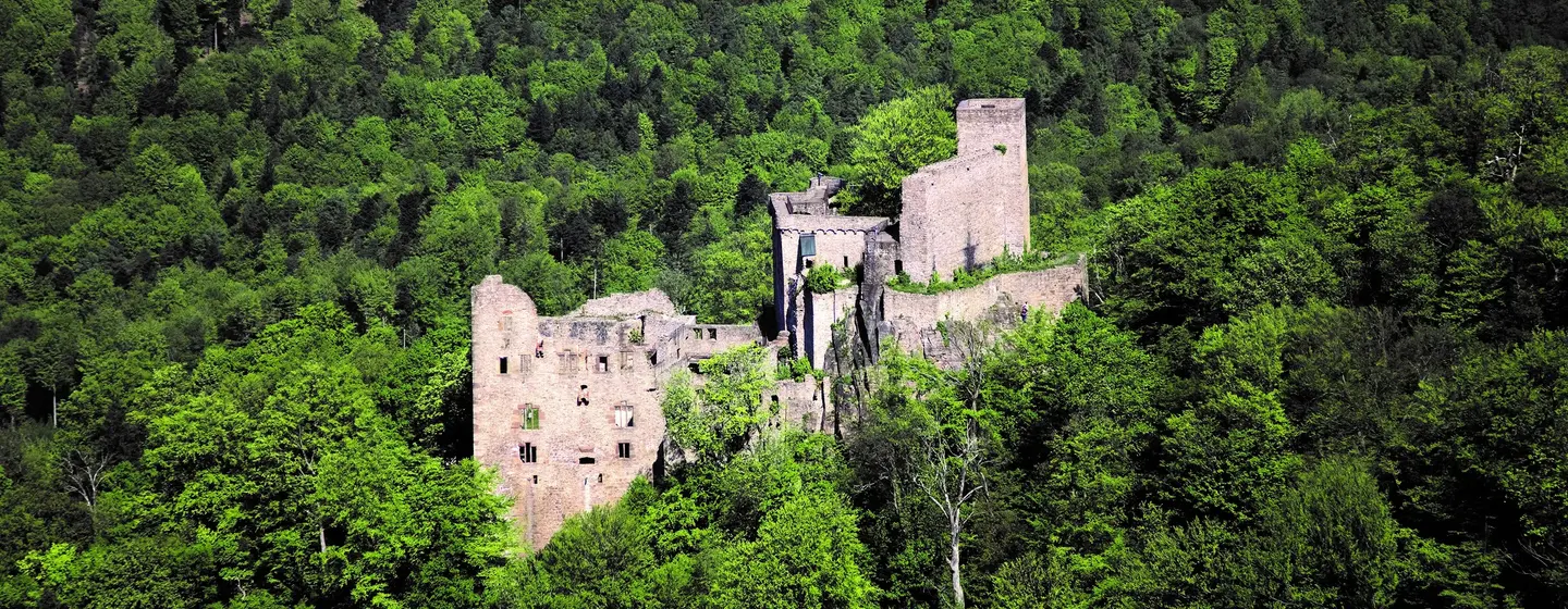 Château de Hohenbaden, Vue aérienne