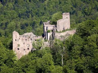 Luftansicht des Alten Schlosses Hohenbaden