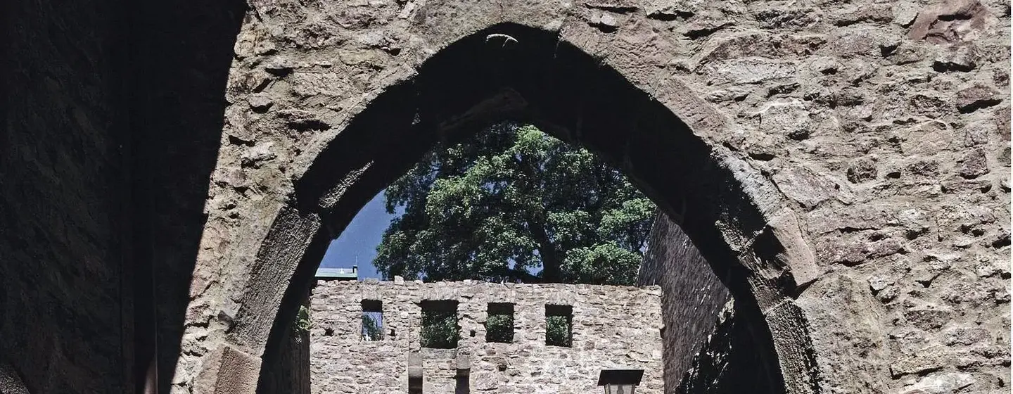 Château de Hohenbaden, voûte