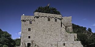 Altes Schloss Hohenbaden