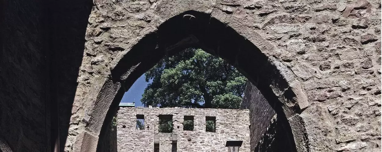 Château de Hohenbaden, voûte